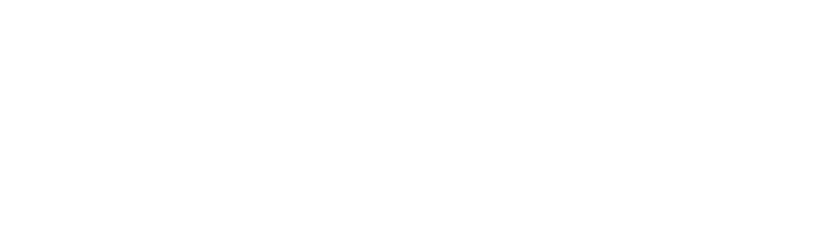 NU_NUARI_Logo_2023_final_white-1